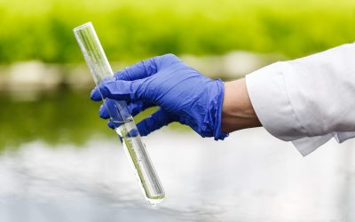 🚨 Nitratos en el agua: cuando el purín mal gestionado se convierte en amenaza