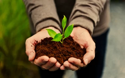 🌱 Día Mundial del Suelo: cómo un sensor gallego puede proteger lo que no vemos