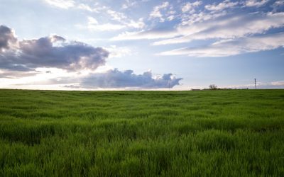 ♻️ De Galicia a Europa: cómo un sensor low cost conecta la innovación local con el Proyecto Europeo Nutritive